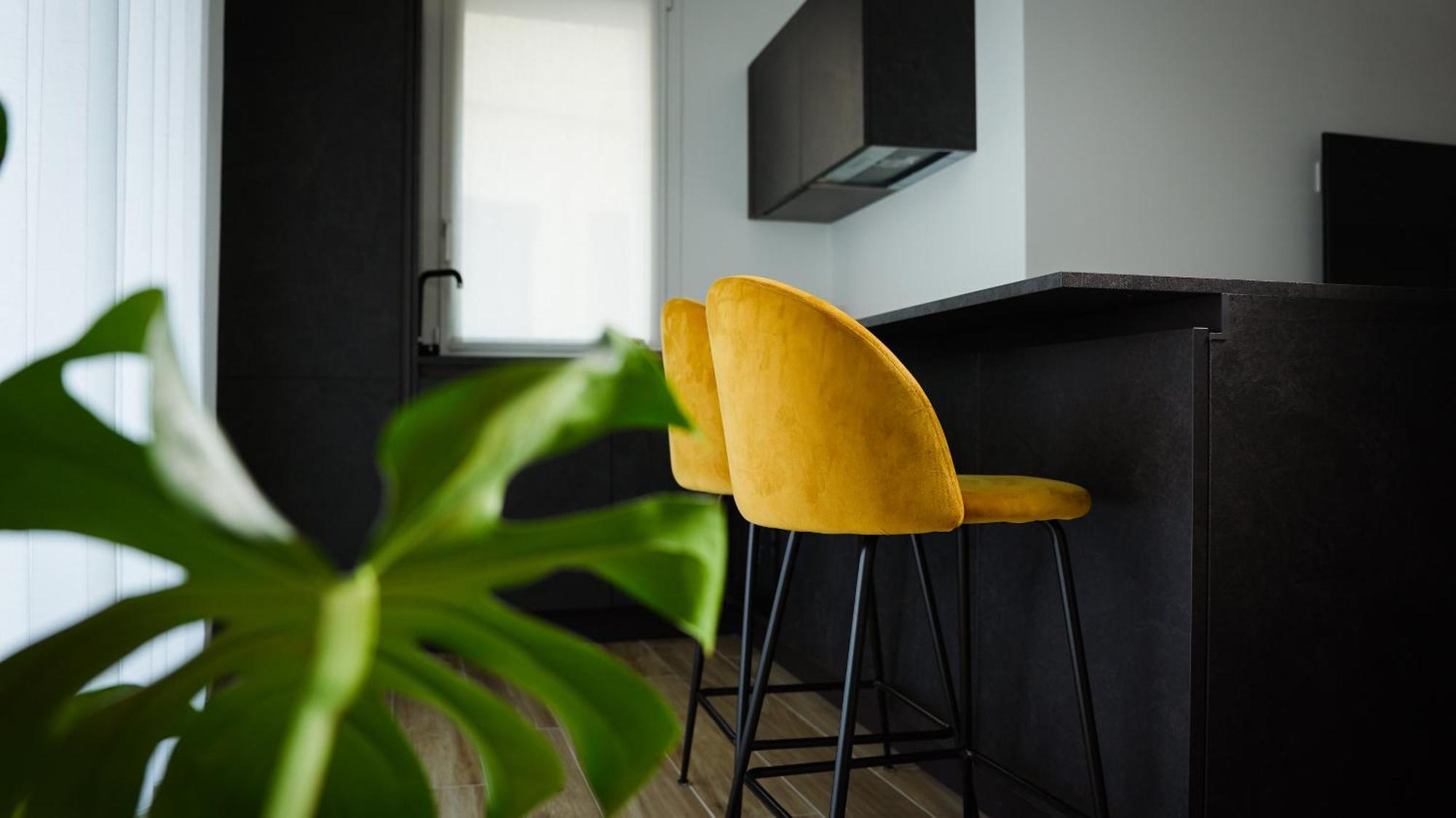Palazzo Gilberto Apartment Падуа Екстериор снимка